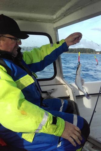 2018-09-22-33 Fladfisketur Langeland